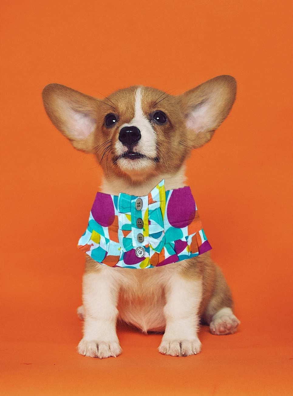 NUEVOS DOGGADIL Printed Cotton Frilled Pet Bandana | Frill Bib for Dog and Cat | Pet Neck Scarf_ Multi Color