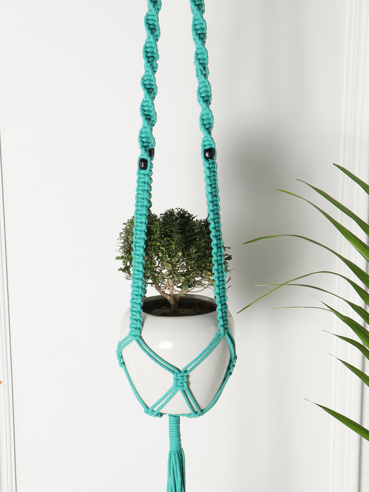 NUEVOSGHAR Macrame Plant Hanger | Boho Plant Holder | Hand Made Crochet Plant Holder | Indoor-Outdoor Wall Hanging Plant Holder |Blue