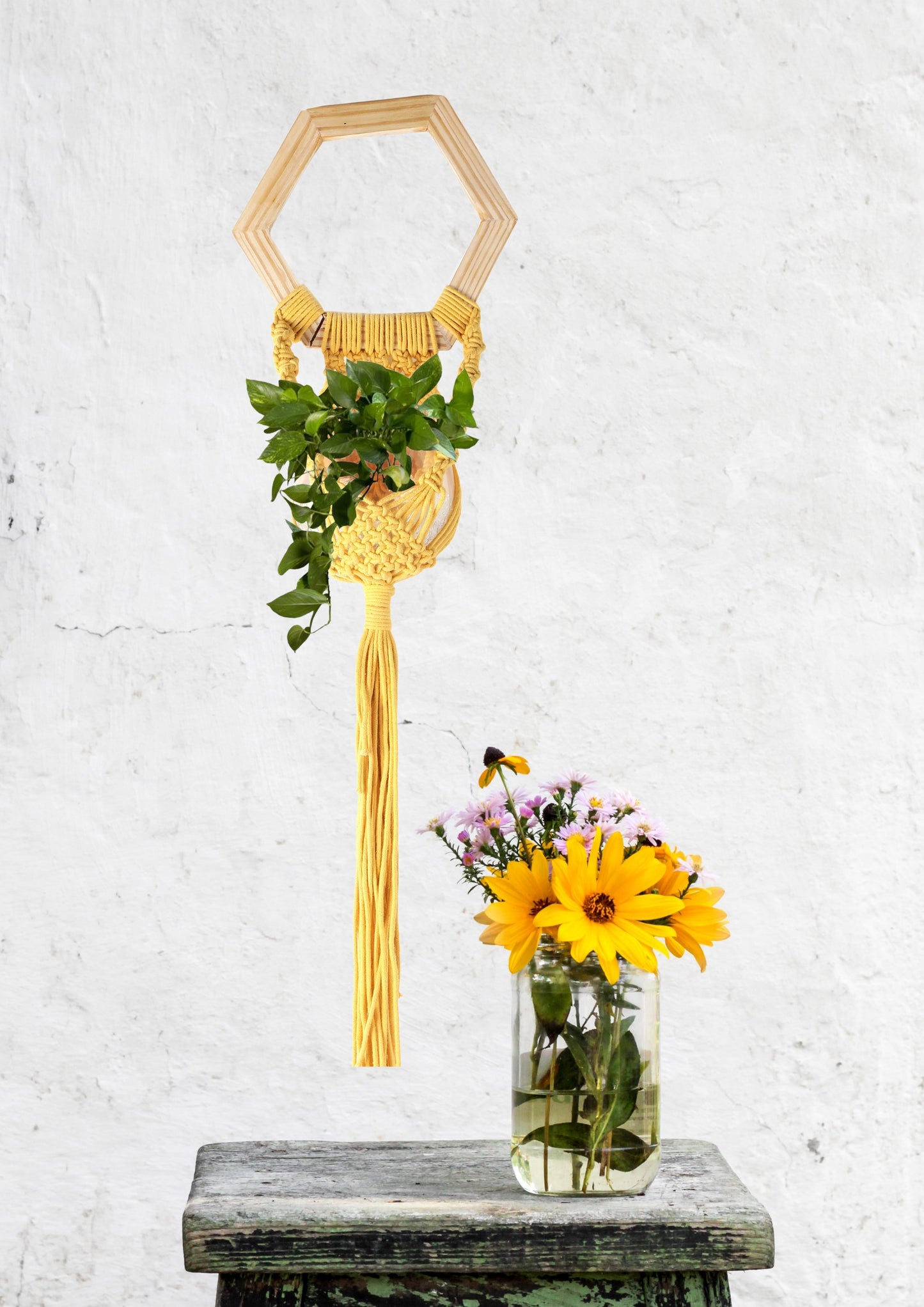 NUEVOSGHAR Macrame Plant Hanger | Boho Plant Holder | Hand Made Crochet Plant Holder | Indoor-Outdoor Wall Hanging Plant Holder | Yellow