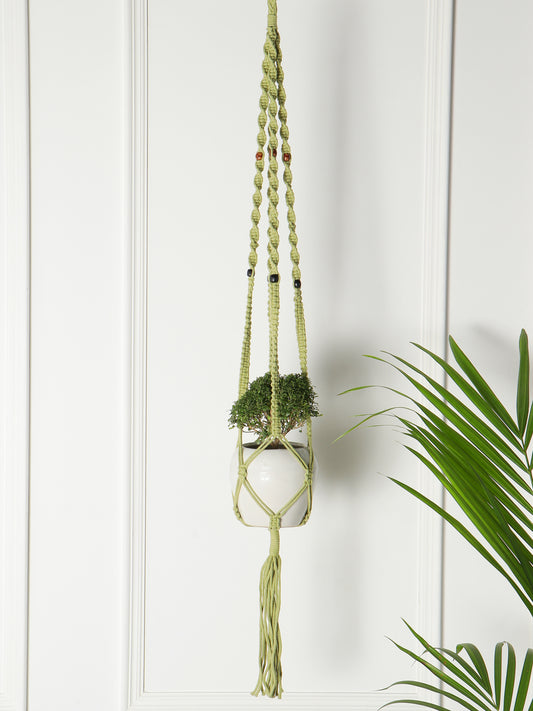 NUEVOSGHAR Macrame Plant Hanger | Boho Plant Holder | Hand Made Crochet Plant Holder | Indoor-Outdoor Wall Hanging Plant Holder |Olive