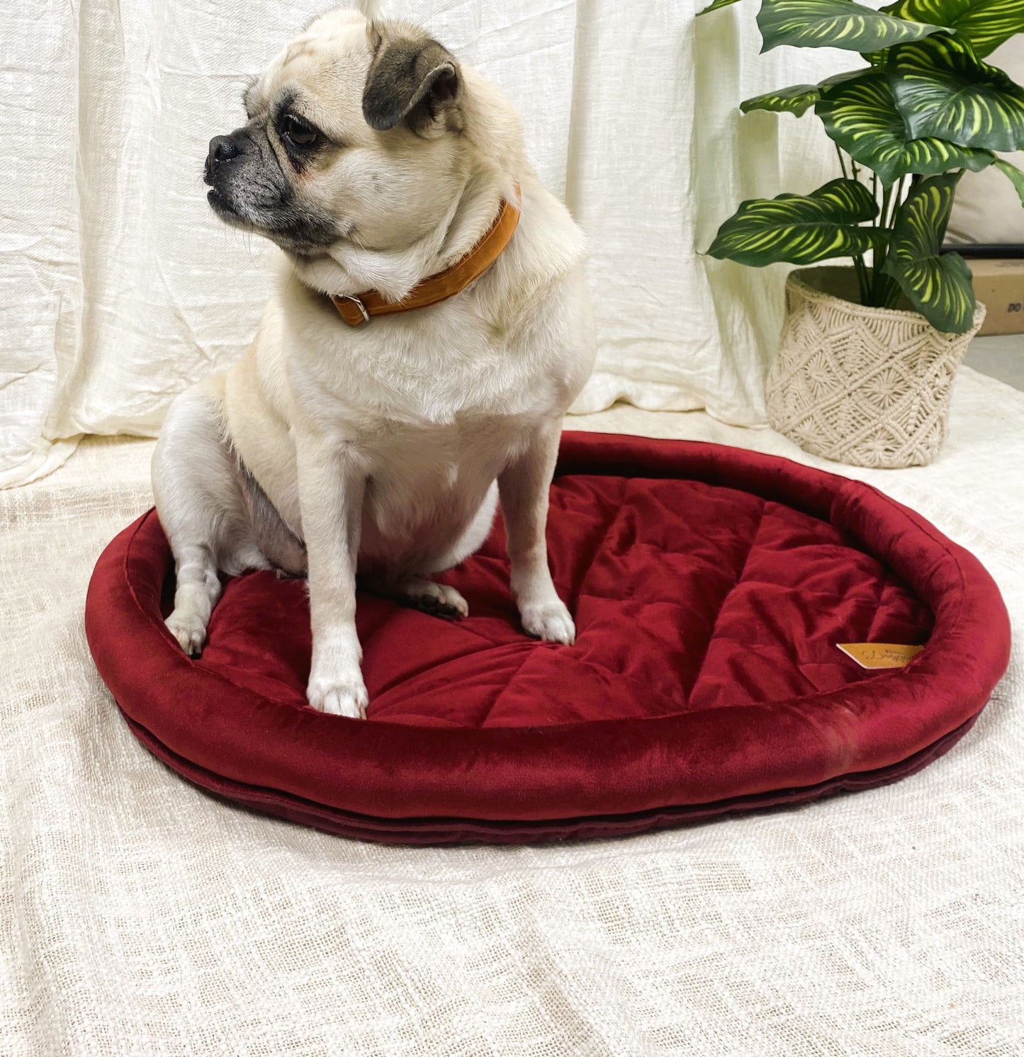 NUEVOS DOGGADIL Velvet Bolster Pet Bed | Washable Padded Pet Bed| Light Weighted Dog Bolster Mat Maroon